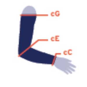 Armsleeve measurement guide showing cG, cE and cC