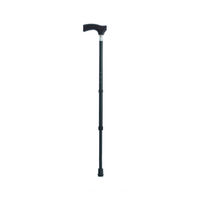 Breezy T Handle Walking Stick