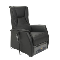 Premium Rise Recliner