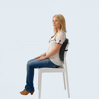Back Huggar Chair Cushion