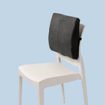 Back Huggar Chair Cushion