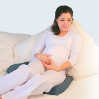 Bed Seat Cushion