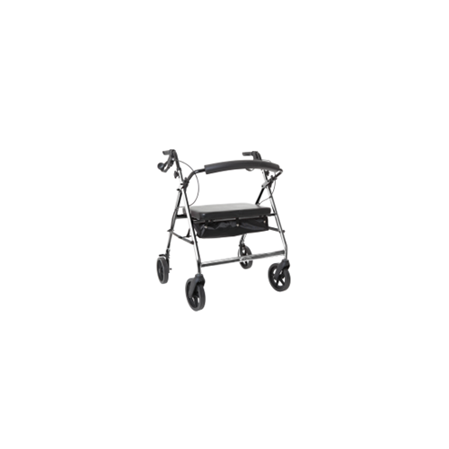 Aspire XL Seat Walker - Silver